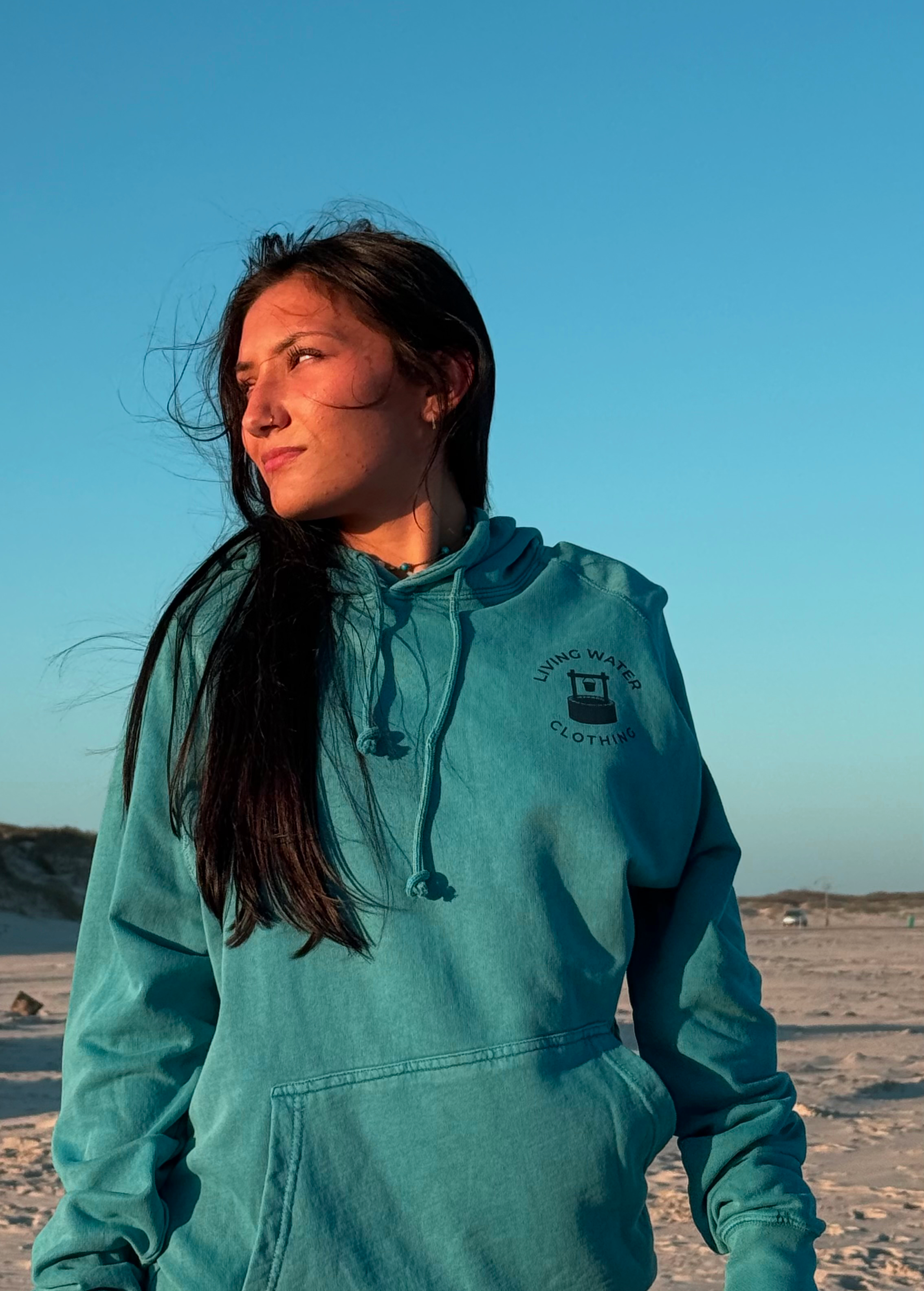 Living Water Vintage Hoodie